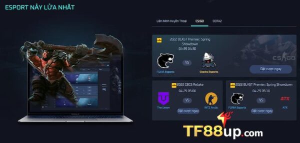 Cách cá cược Esport TF88 hiệu quả nhất