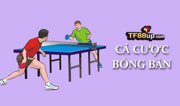 Kinh nghiệm cược bóng bàn trăm trận trăm thắng