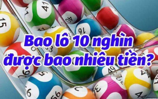 Các loại hình bao lô phổ biến hiện nay