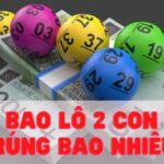 Giới thiệu thông tin cần thiết về bao lô