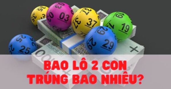 Giới thiệu thông tin cần thiết về bao lô